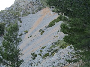 IMG_6917 (Medium)